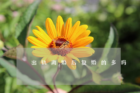 出轨离婚后复婚的多吗