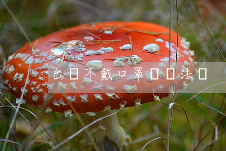 出門不戴口罩會違法嗎