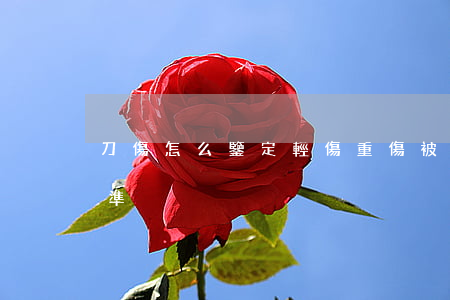 刀傷怎么鑒定輕傷重傷(被刀砍傷輕傷鑒定標準)