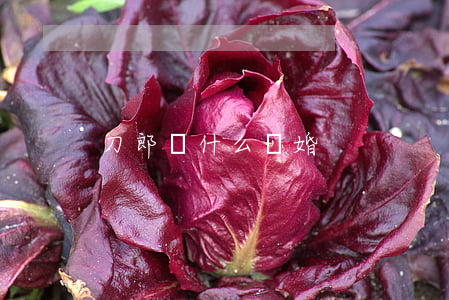 刀郎為什么離婚