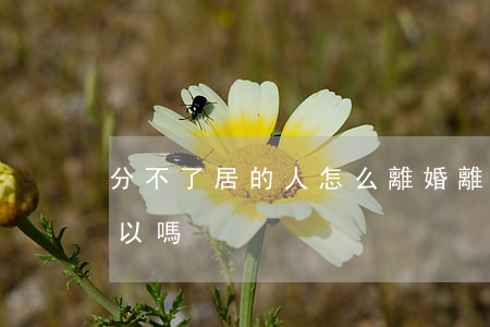 分不了居的人怎么離婚(離不了婚長期分居可以嗎)