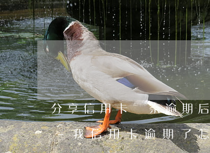 分享信用卡無奈逾期后的補(bǔ)救方法-我信用卡逾期了怎么辦