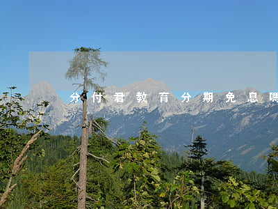 分付君教育分期免息嗎(分付君怎么樣)