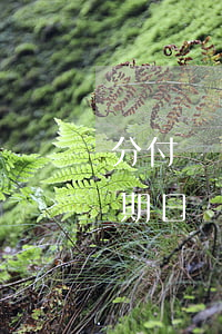 分付當(dāng)天還款算逾期嗎(還款到期日當(dāng)天還款算逾期嗎)