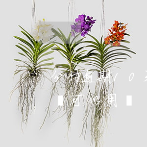 分付逾期10天還可以用嗎(分付逾期10天還可以用嗎)