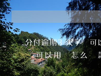 分付逾期3天了還可以用嗎(分付逾期3天了還可以用嗎怎么還款)
