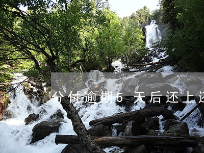 分付逾期5天后还上还能用吗