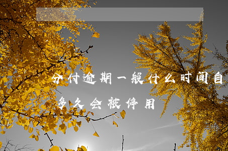 分付逾期一般什么时间自动扣款-分付逾期多久会被停用