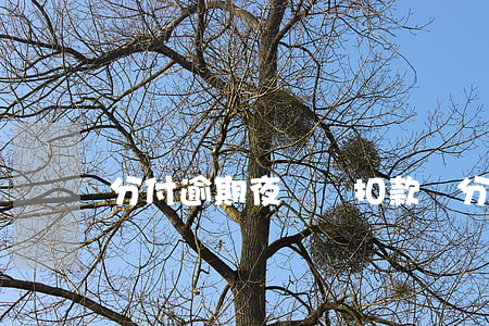 分付逾期夜間會扣款嗎(分付逾期一天有影響嗎)