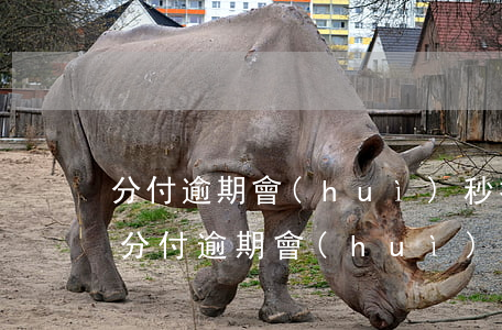 分付逾期會(huì)秒扣收到的紅包嗎-分付逾期會(huì)自動(dòng)扣款嗎