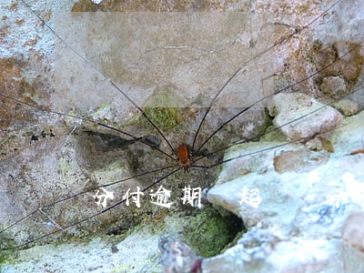 分付逾期會起訴嗎 分期逾期多少錢會被起訴