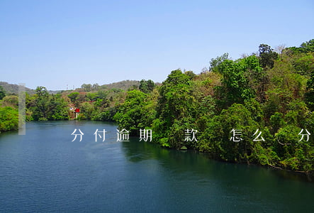 分付逾期還款會怎么樣(分付逾期有影響嗎)