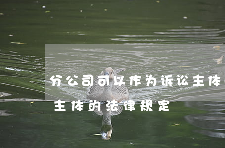 分公司可以作为诉讼主体吗(分公司作为诉讼主体的法律规定)