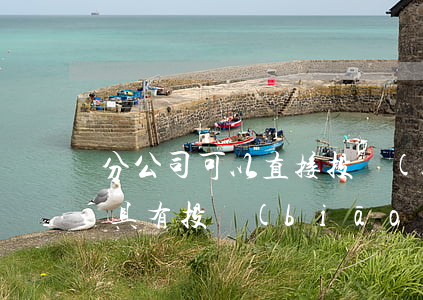 分公司可以直接投標(biāo)嗎(分公司具有投標(biāo)資格嗎?)