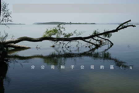 分公司和子公司的區(qū)別