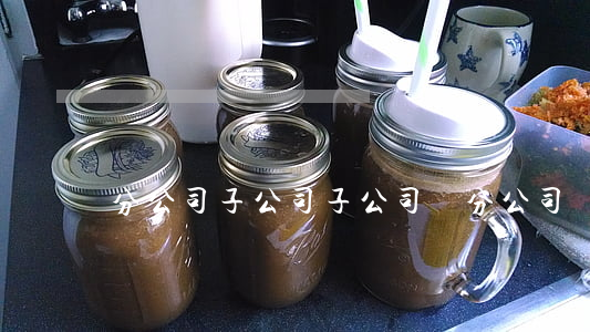 分公司子公司(子公司與分公司)