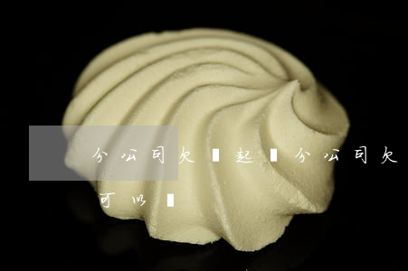 分公司欠錢起訴(分公司欠錢起訴總公司公司可以嗎)