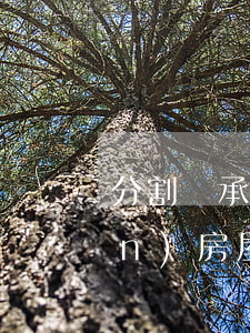 分割繼承房產(chǎn)嗎(遺產(chǎn)房屋繼承后的分割)
