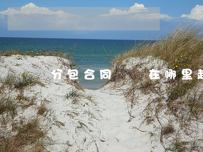 分包合同糾紛在哪里起訴
