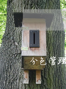 分包管理制度(分包管理制度模板) 分包管理制度(分包管理制度模板)