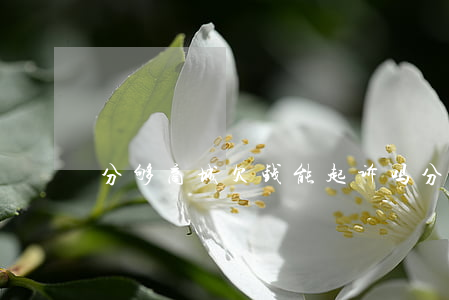 分够商城欠钱能起诉吗(分期商城2021)