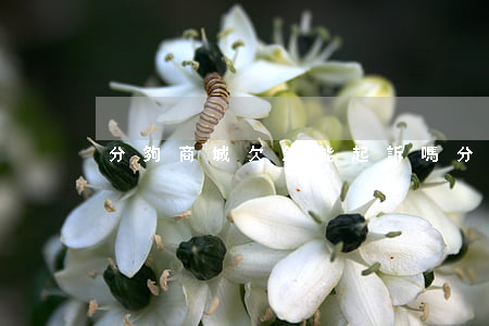 分夠商城欠錢能起訴嗎(分期商城2021)