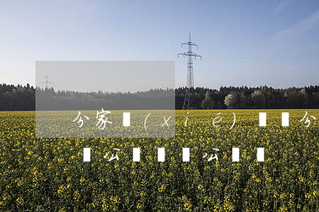分家協(xié)議書(分家協(xié)議書公證處給公證嗎)