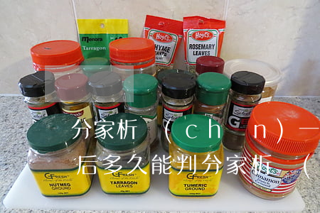 分家析產(chǎn)一般開(kāi)庭后多久能判(分家析產(chǎn)一般開(kāi)庭后多久能判)