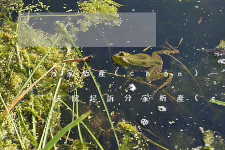 分家析產(chǎn)一般開庭后多久能判(法院起訴分家析產(chǎn)流程)