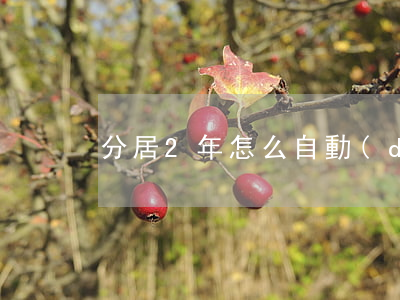 分居2年怎么自動(dòng)離婚