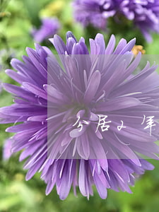 分居2年是不是自動(dòng)離婚
