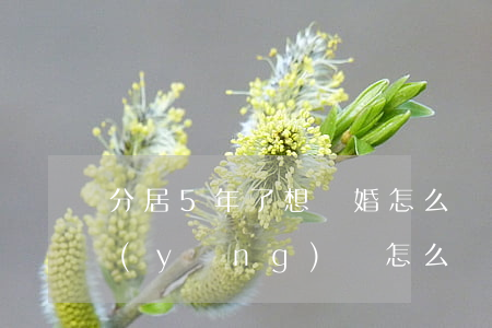 分居5年了想離婚怎么辦(分居五年想離婚應(yīng)該怎么辦)