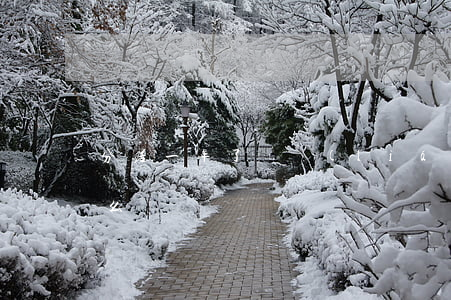 分居一年了沒聯(lián)系過想離婚怎么辦
