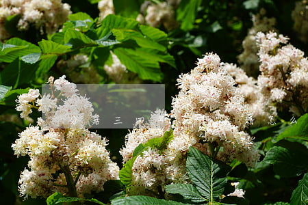 分居三四年了想离婚怎么办