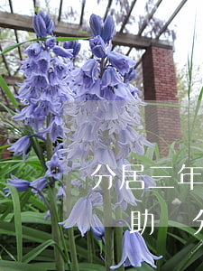 分居三年會(huì)對(duì)離婚有幫助嗎(分居三年就可以成功離婚了嗎?)
