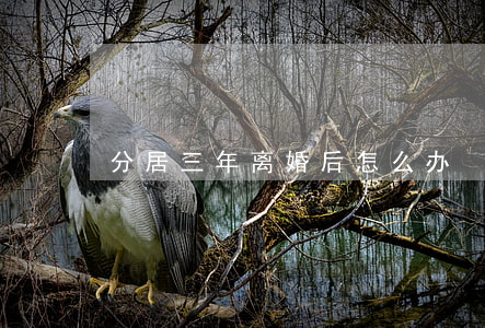 分居三年离婚后怎么办