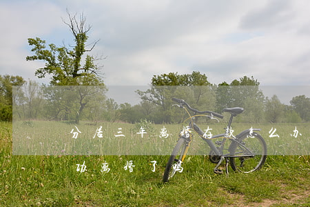 分居三年离婚存款怎么办(分居三年就可以成功离婚了吗?)