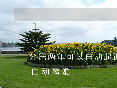 分居两年可以自动起诉离婚吗(分居俩年可以自动离婚?)