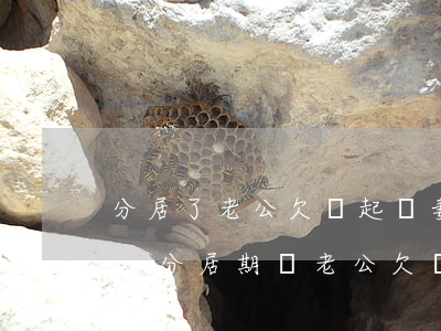 分居了老公欠錢起訴妻子有責(zé)任嗎-分居期間老公欠債,女方會(huì)一起還債嗎