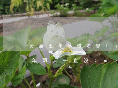 分居五年不離婚會(huì)怎么樣(分居五年,兩人一直沒(méi)聯(lián)系怎樣離婚啊)