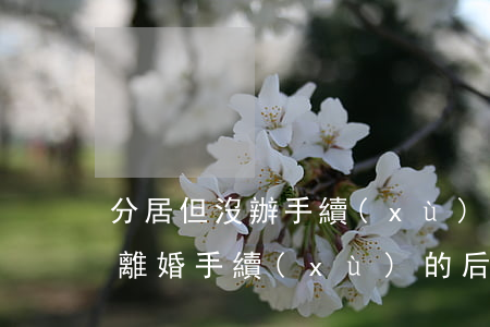 分居但沒辦手續(xù)算離婚嗎(分居不辦離婚手續(xù)的后果)