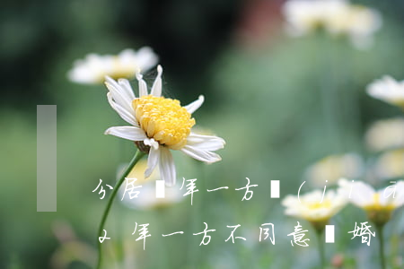 分居兩年一方堅(jiān)持不離婚(分居2年一方不同意離婚)