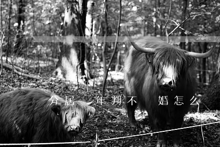 分居兩年判不離婚怎么辦
