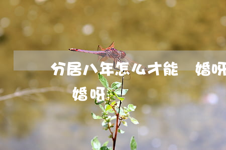 分居八年怎么才能離婚呀(分居八年怎么才能離婚呀)