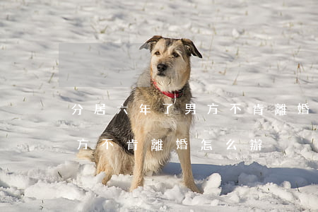 分居六年了男方不肯離婚怎么辦(分居兩年 男方不肯離婚怎么辦)