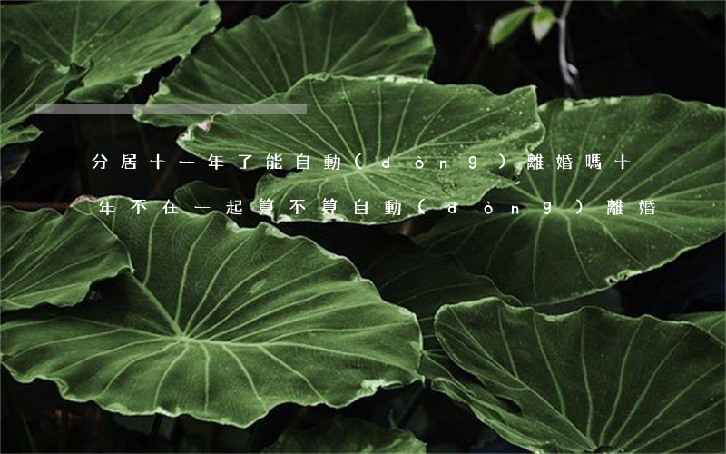分居十一年了能自動(dòng)離婚嗎(十年不在一起算不算自動(dòng)離婚)