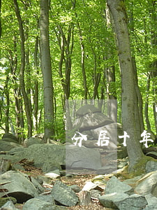 分居十年如何離婚
