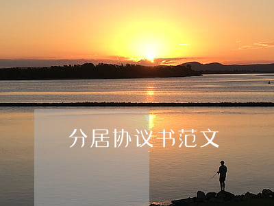 分居协议书范文