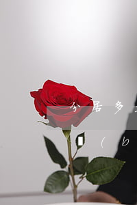 分居多久可以自動離婚（判定感情確已破裂的標(biāo)準(zhǔn)，列舉了下列五種具體情形）