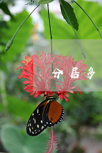 分居多長時(shí)間可以申訴離婚
